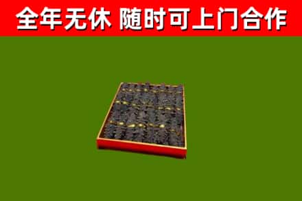 九龙烟酒回收海参.jpg